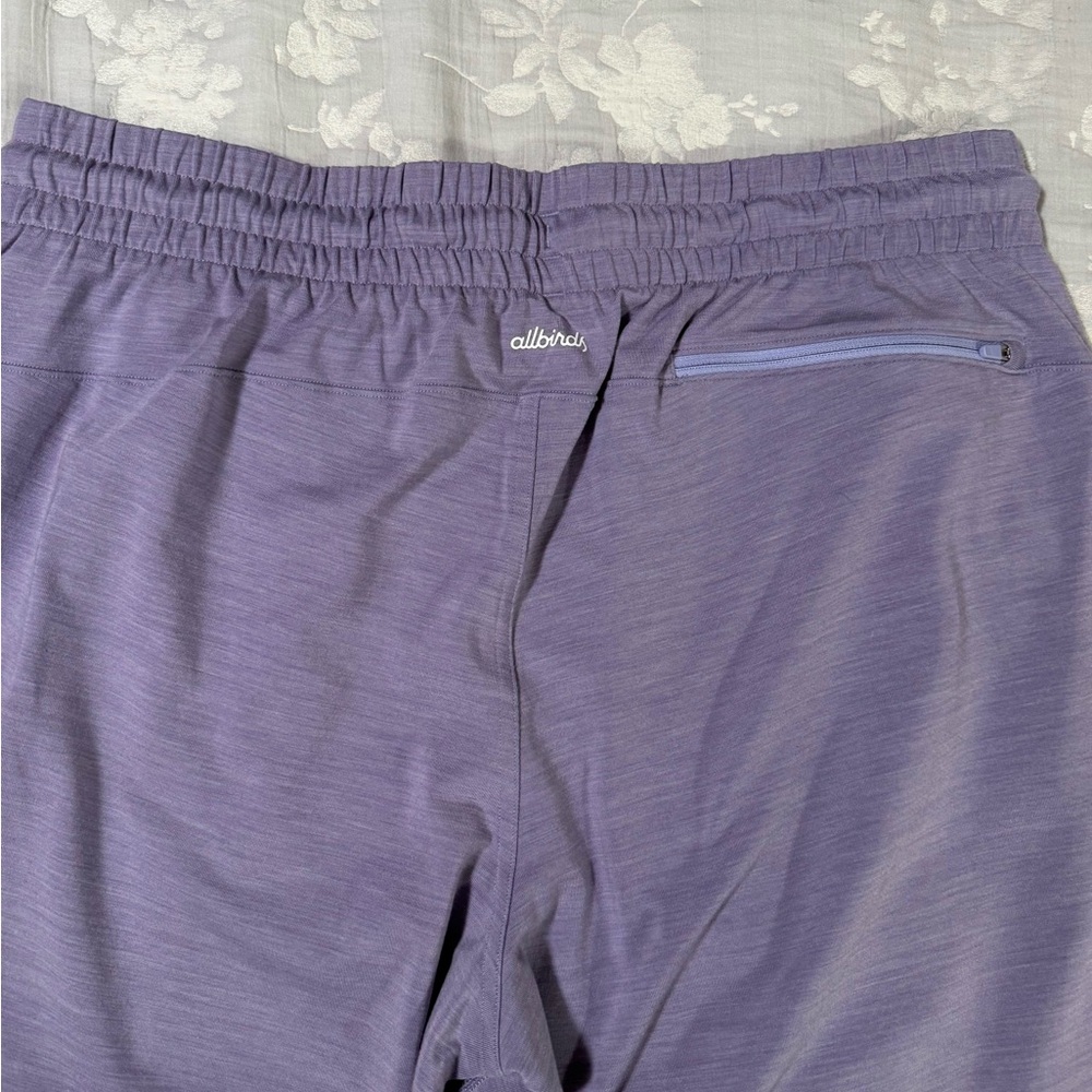 Allbirds Purple Merino Wool Blend 21.30 Natural Performance Jogger (Size XL) - Picture 5 of 6